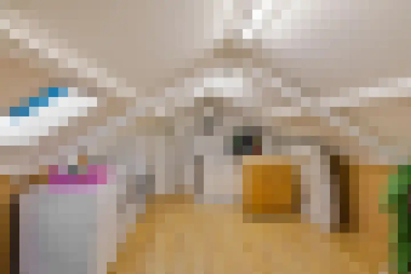Oude Dijk 10 Zuidlaren thumbnail 29