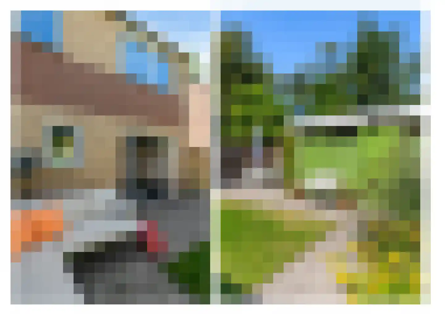 Oude Dijk 10 Zuidlaren thumbnail 4