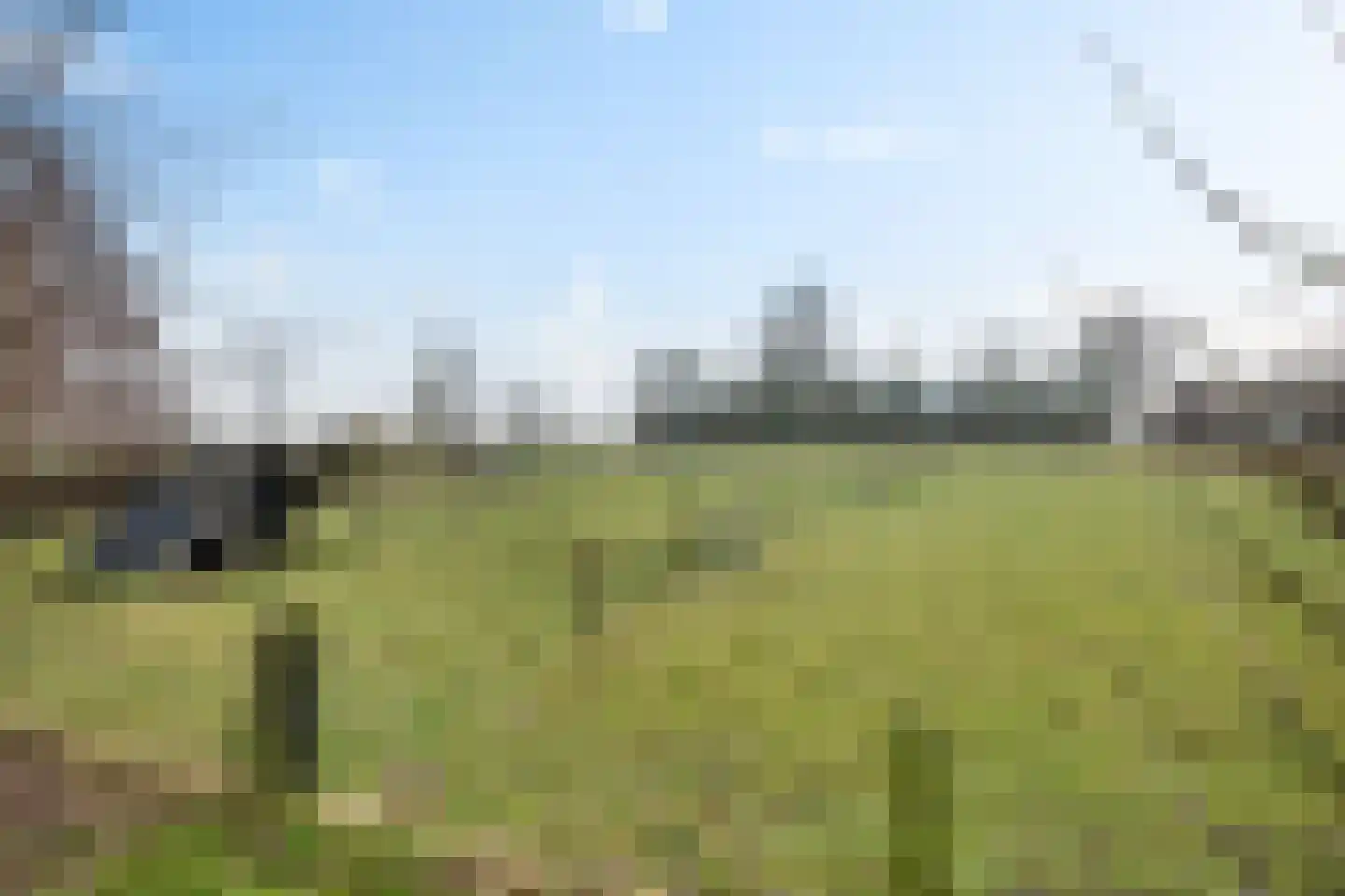 Oude Dijk 11 Usquert thumbnail 10