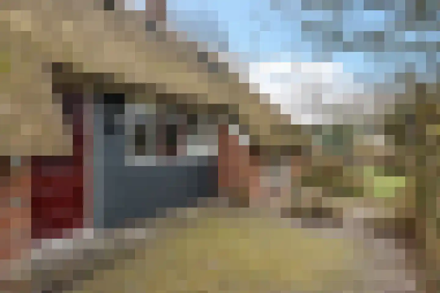 Oude Dijk 11 Usquert thumbnail 11
