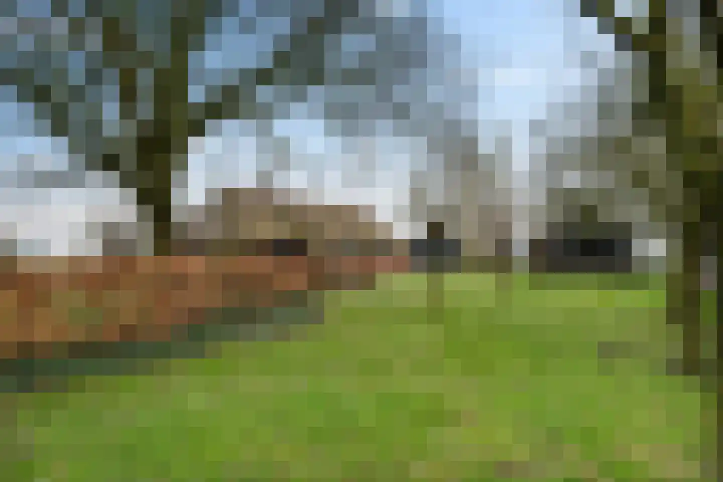 Oude Dijk 11 Usquert foto 2