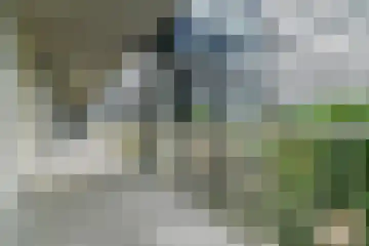 Oude Dijk 11 Usquert thumbnail 20