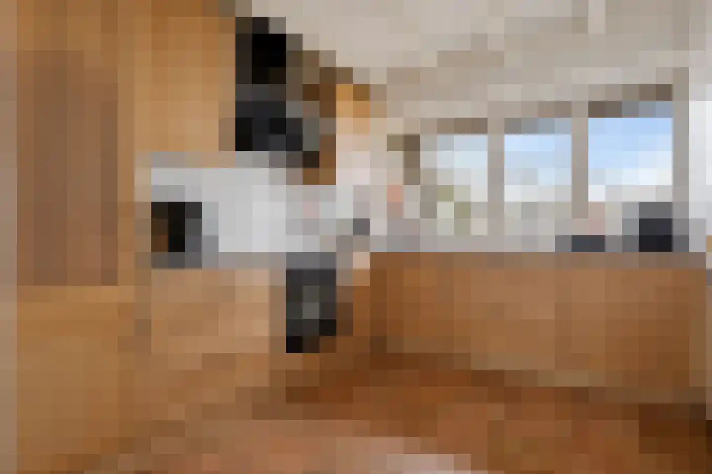 Oude Dijk 11 Usquert thumbnail 20
