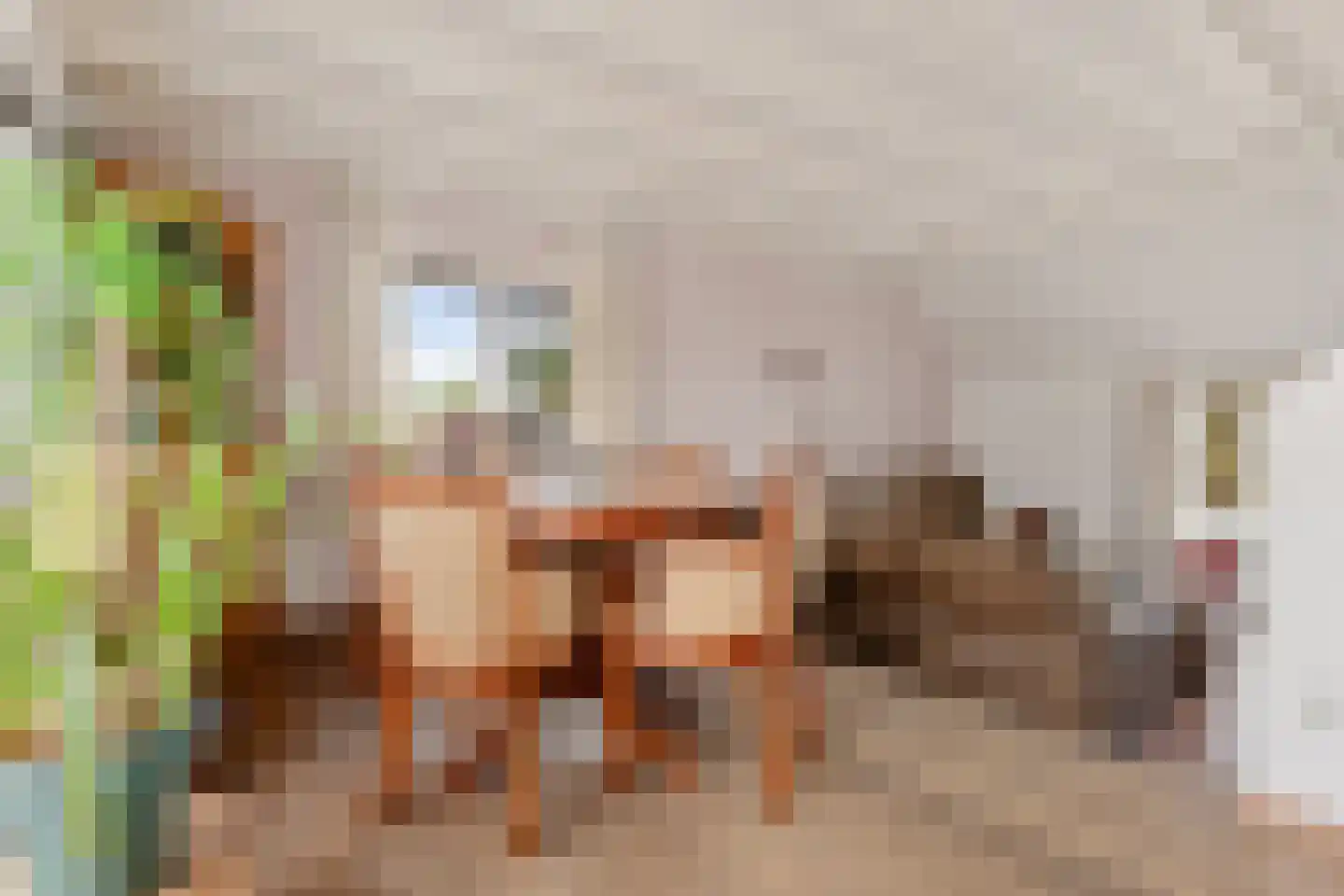 Oude Dijk 11 Usquert thumbnail 21