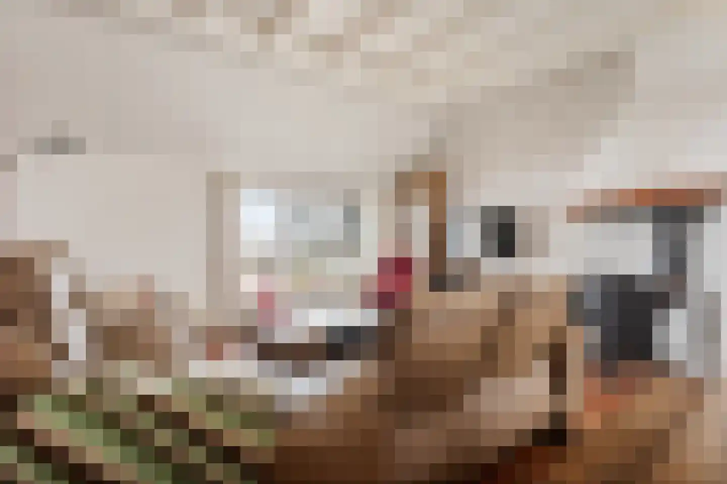 Oude Dijk 11 Usquert thumbnail 23