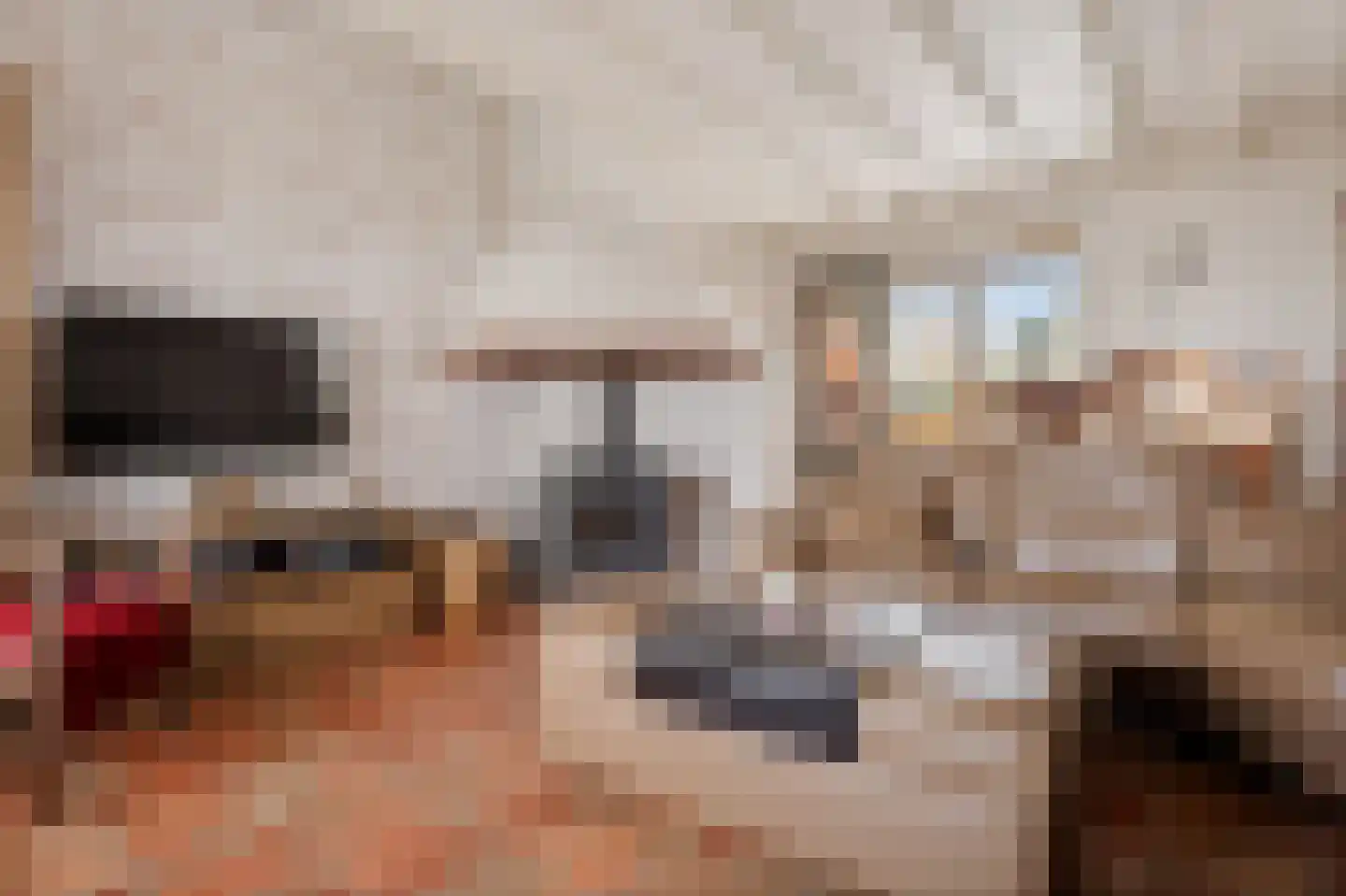 Oude Dijk 11 Usquert thumbnail 25