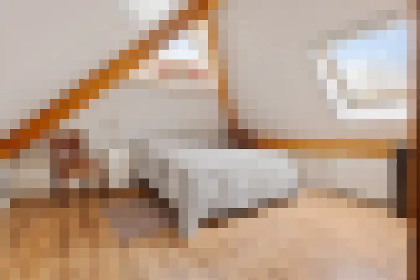 Oude Dijk 11 Usquert thumbnail 36
