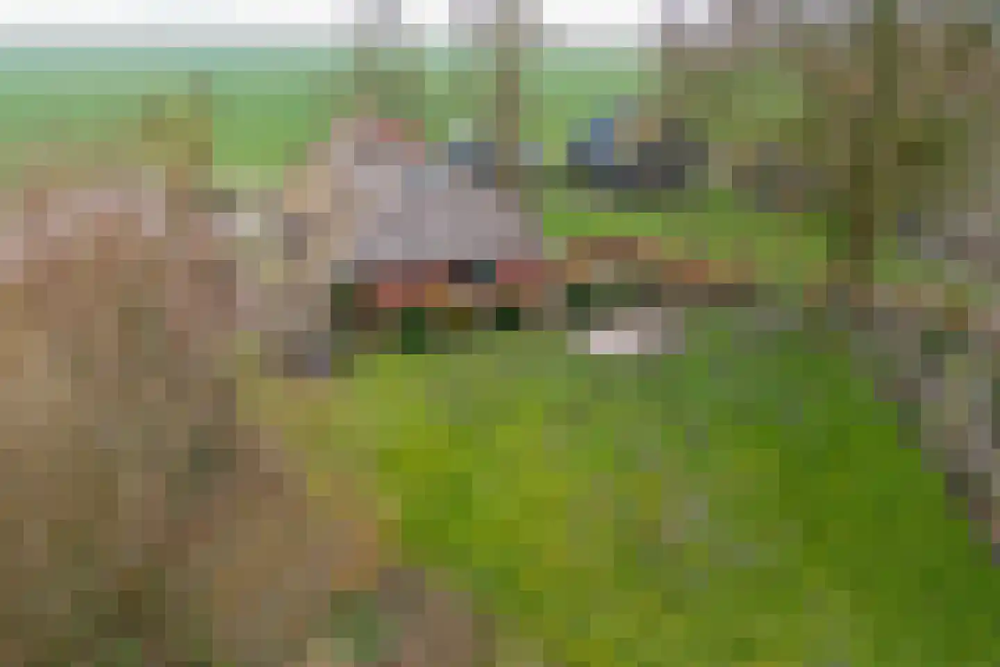 Oude Dijk 11 Usquert thumbnail 41