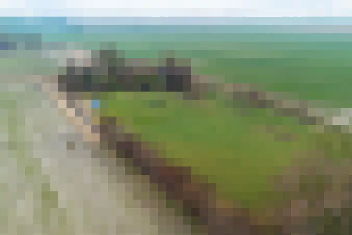 Oude Dijk 11 Usquert thumbnail 42