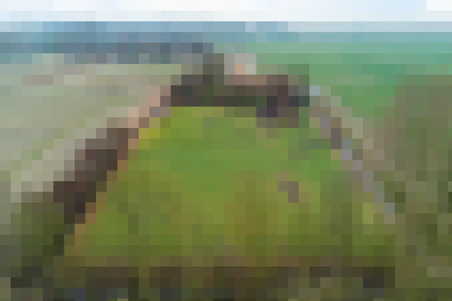 Oude Dijk 11 Usquert thumbnail 43