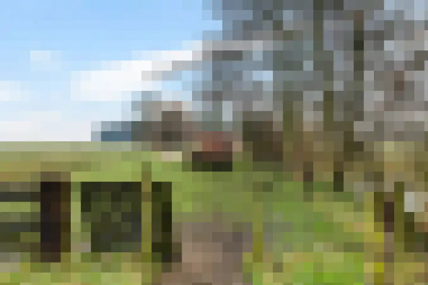 Oude Dijk 11 Usquert thumbnail 47
