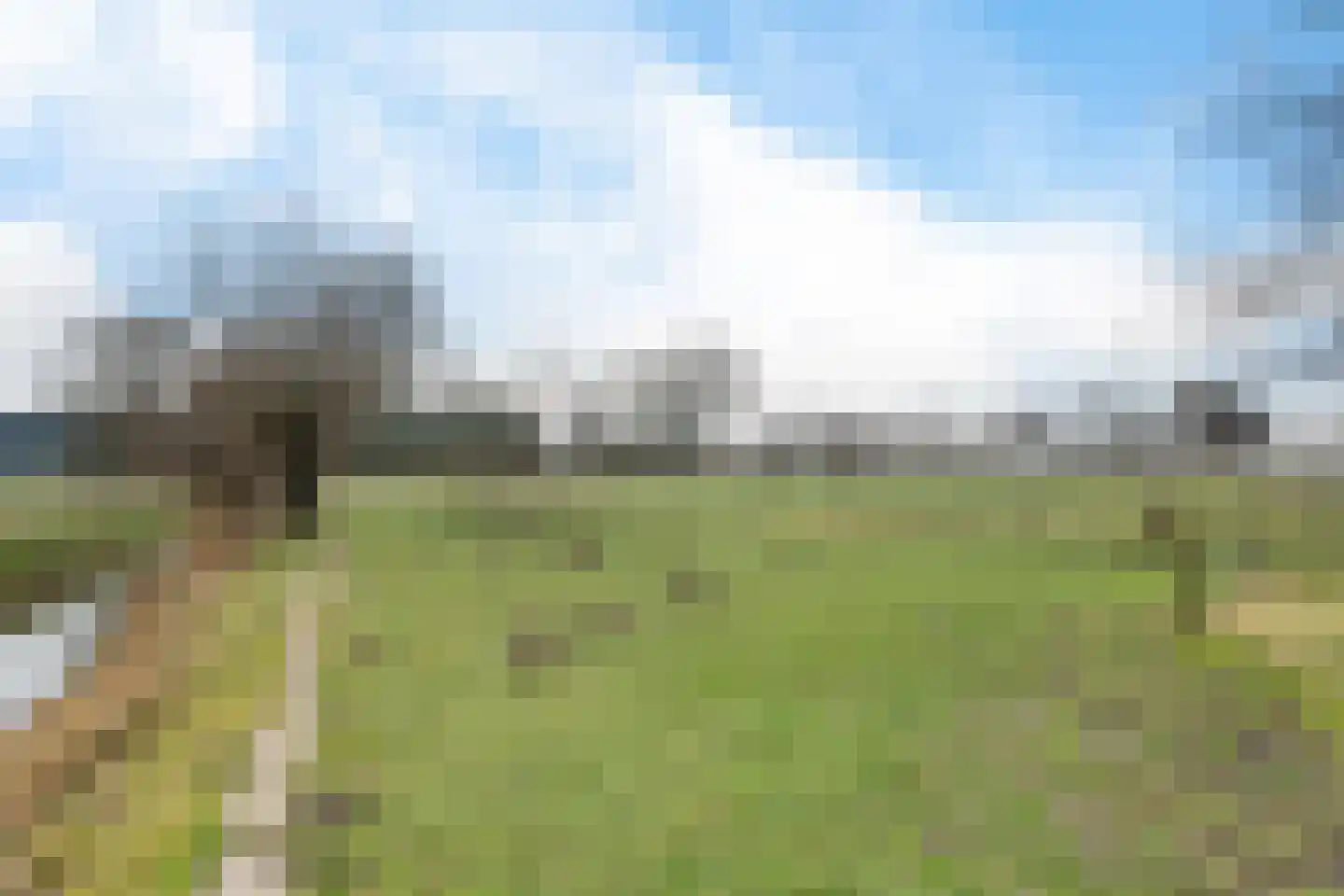 Oude Dijk 11 Usquert thumbnail 49