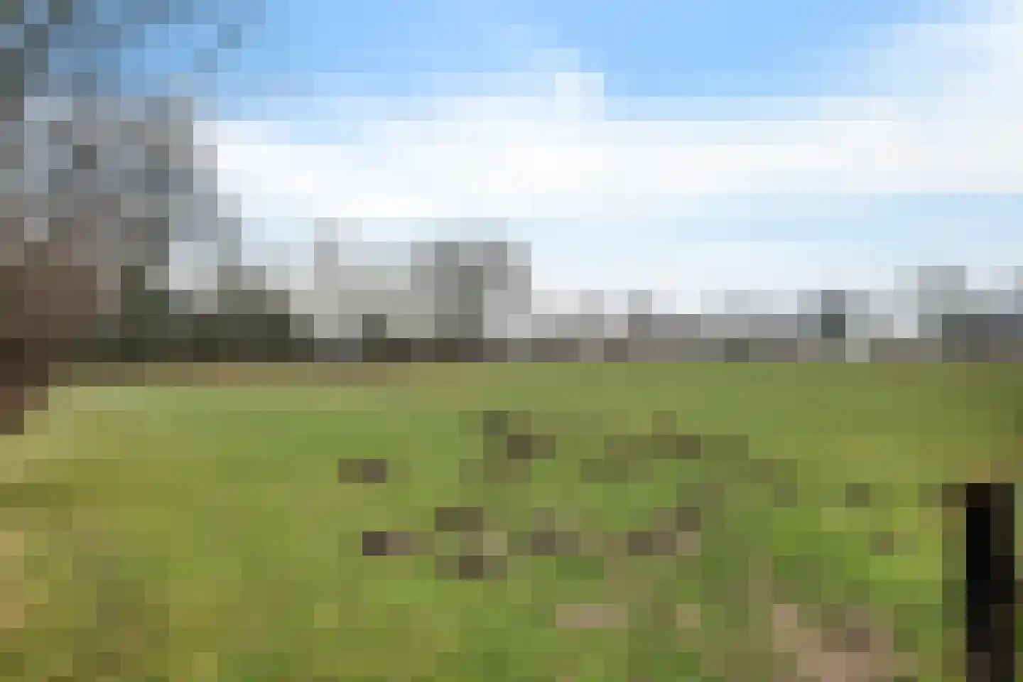 Oude Dijk 11 Usquert thumbnail 50