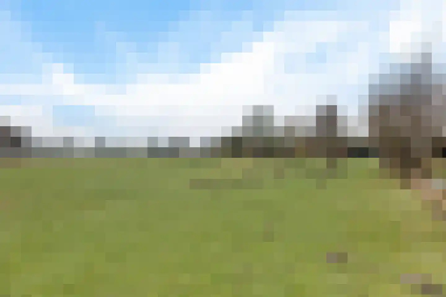 Oude Dijk 11 Usquert thumbnail 51