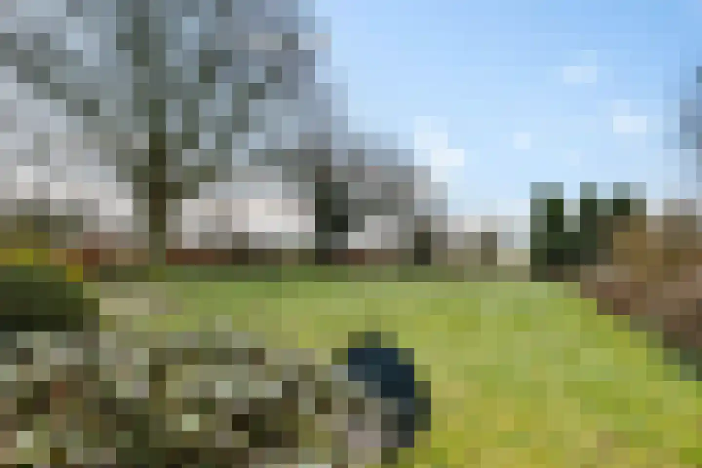 Oude Dijk 11 Usquert thumbnail 8