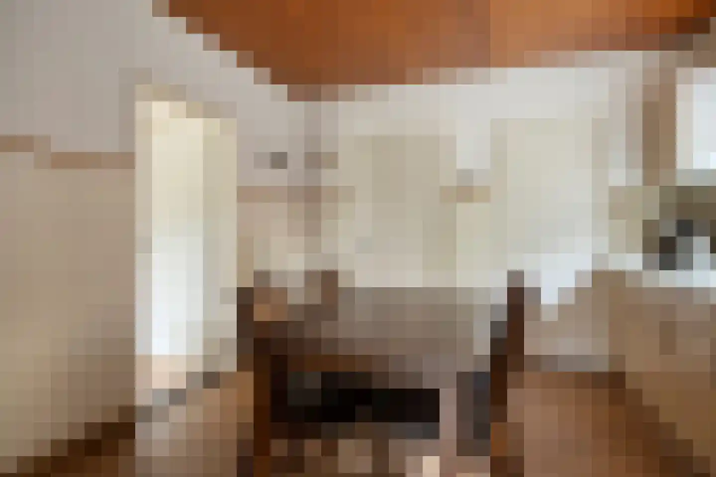 Oude Dijk 12 Denekamp thumbnail 13