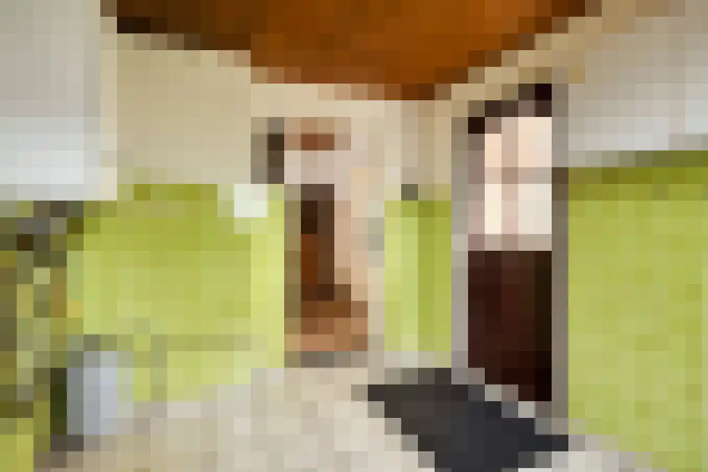 Oude Dijk 12 Denekamp thumbnail 16