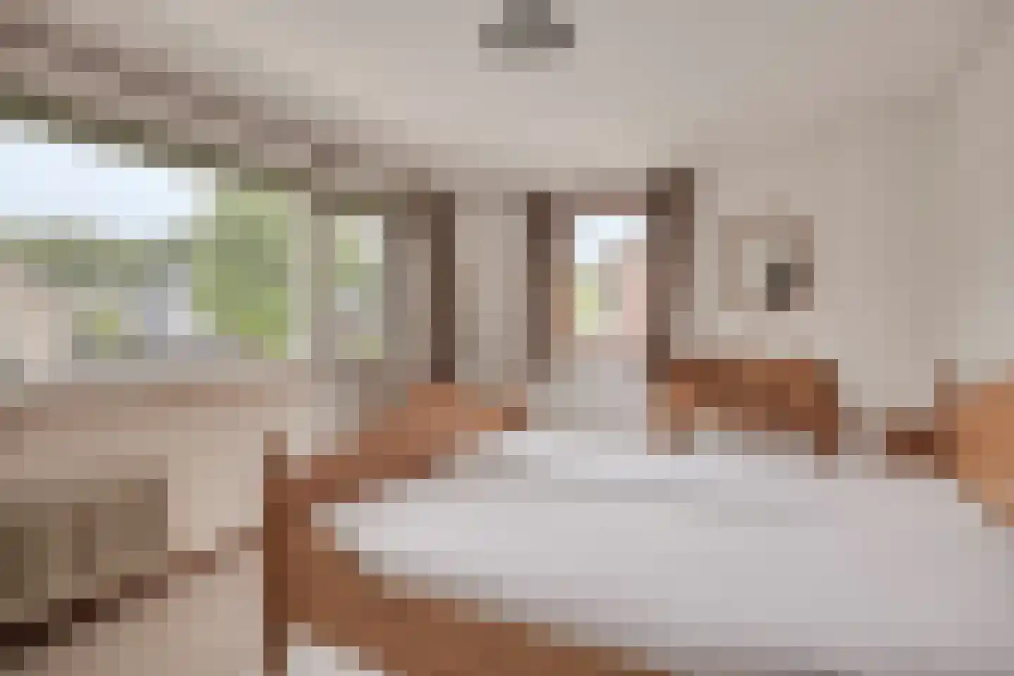 Oude Dijk 12 Denekamp thumbnail 19