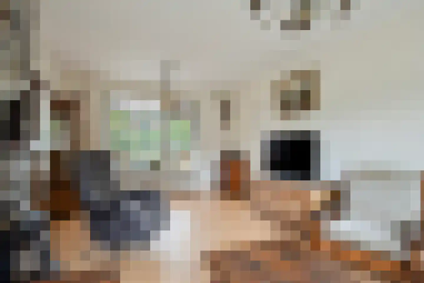 Oude Dijk 12 Denekamp thumbnail 6