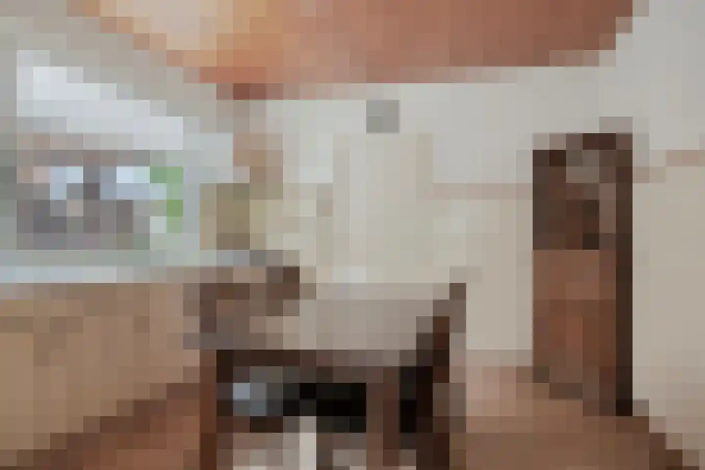 Oude Dijk 12 Denekamp thumbnail 9