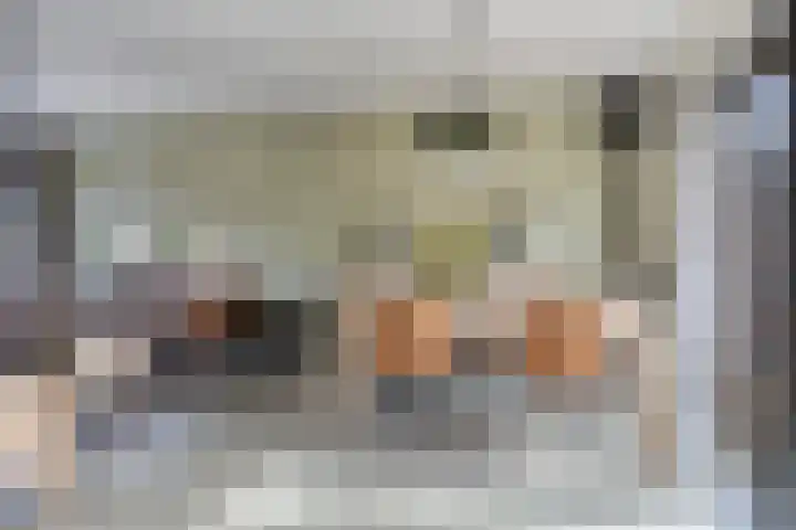 Oude Dijk 15 Zuidlaren thumbnail 16