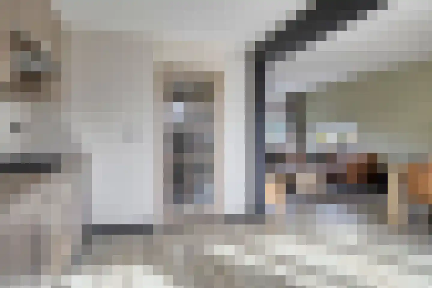Oude Dijk 15 Zuidlaren thumbnail 16