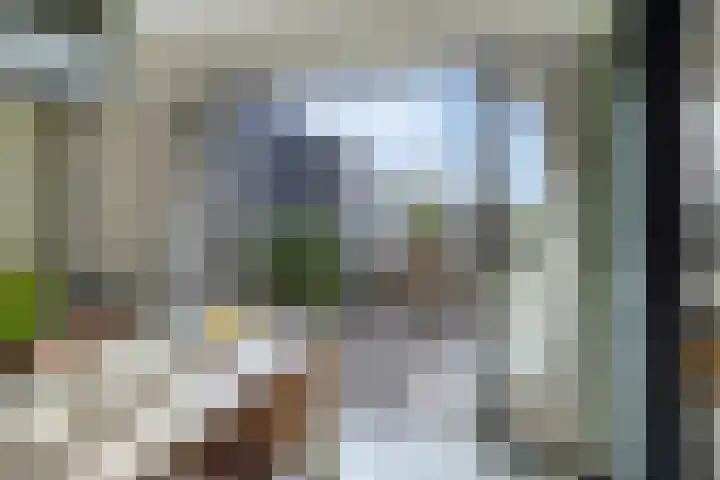 Oude Dijk 15 Zuidlaren thumbnail 21