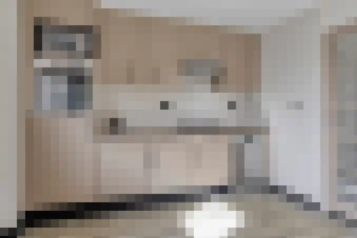 Oude Dijk 15 Zuidlaren thumbnail 25