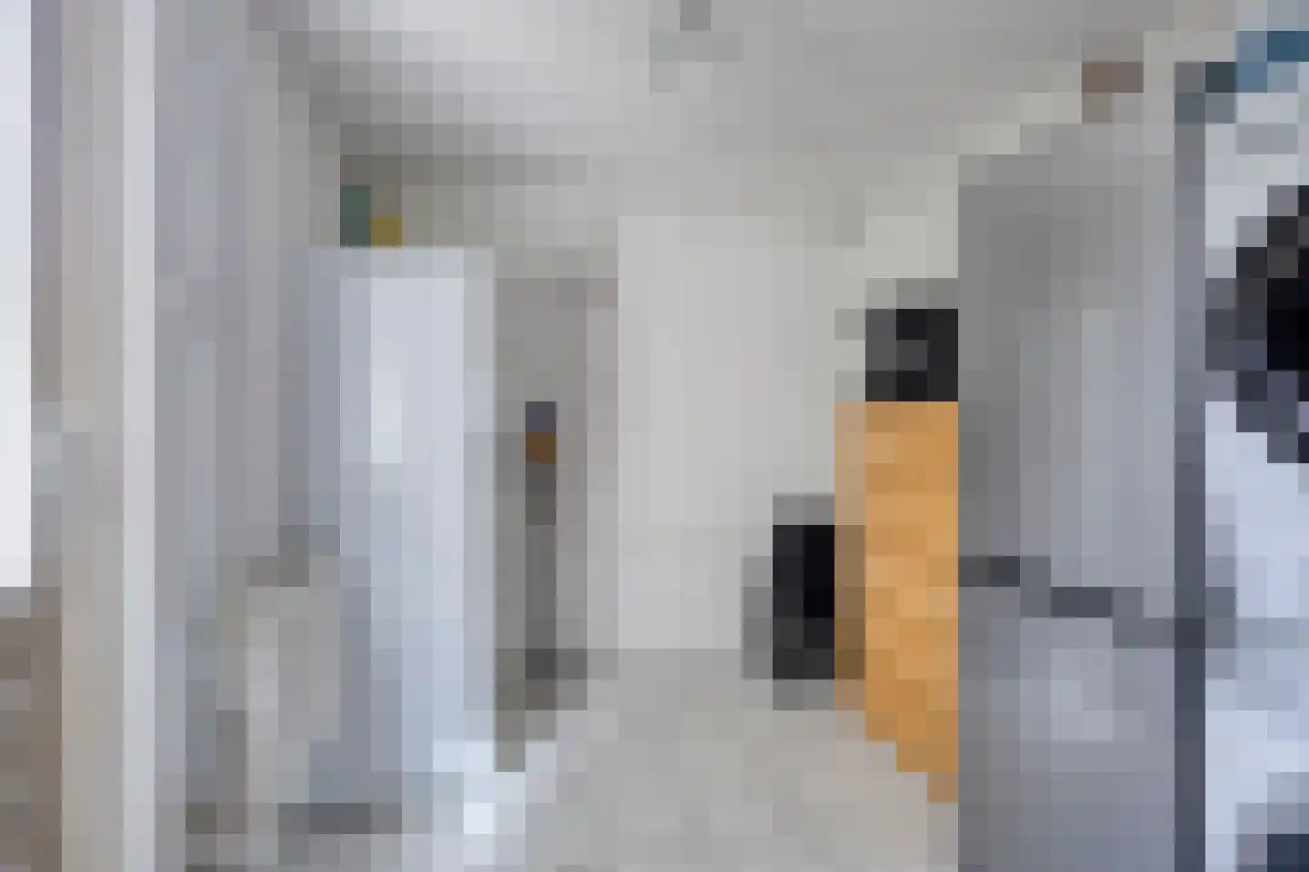 Oude Dijk 15 Zuidlaren thumbnail 26