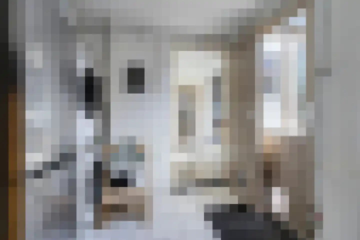 Oude Dijk 15 Zuidlaren thumbnail 27