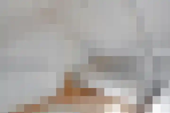 Oude Dijk 15 Zuidlaren thumbnail 42