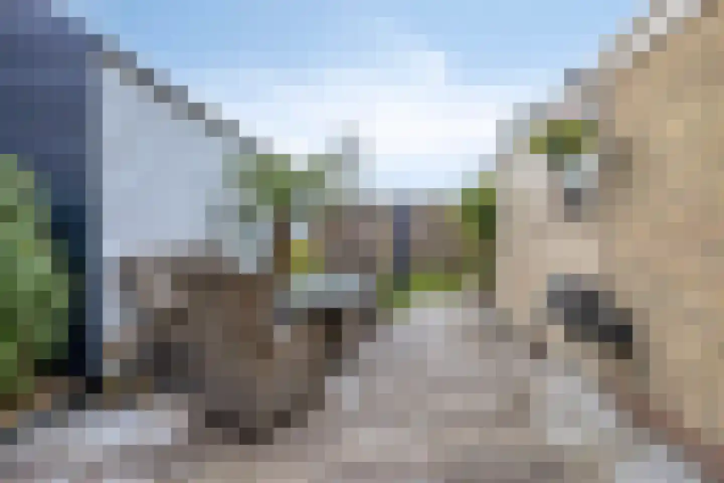 Oude Dijk 15 Zuidlaren thumbnail 48