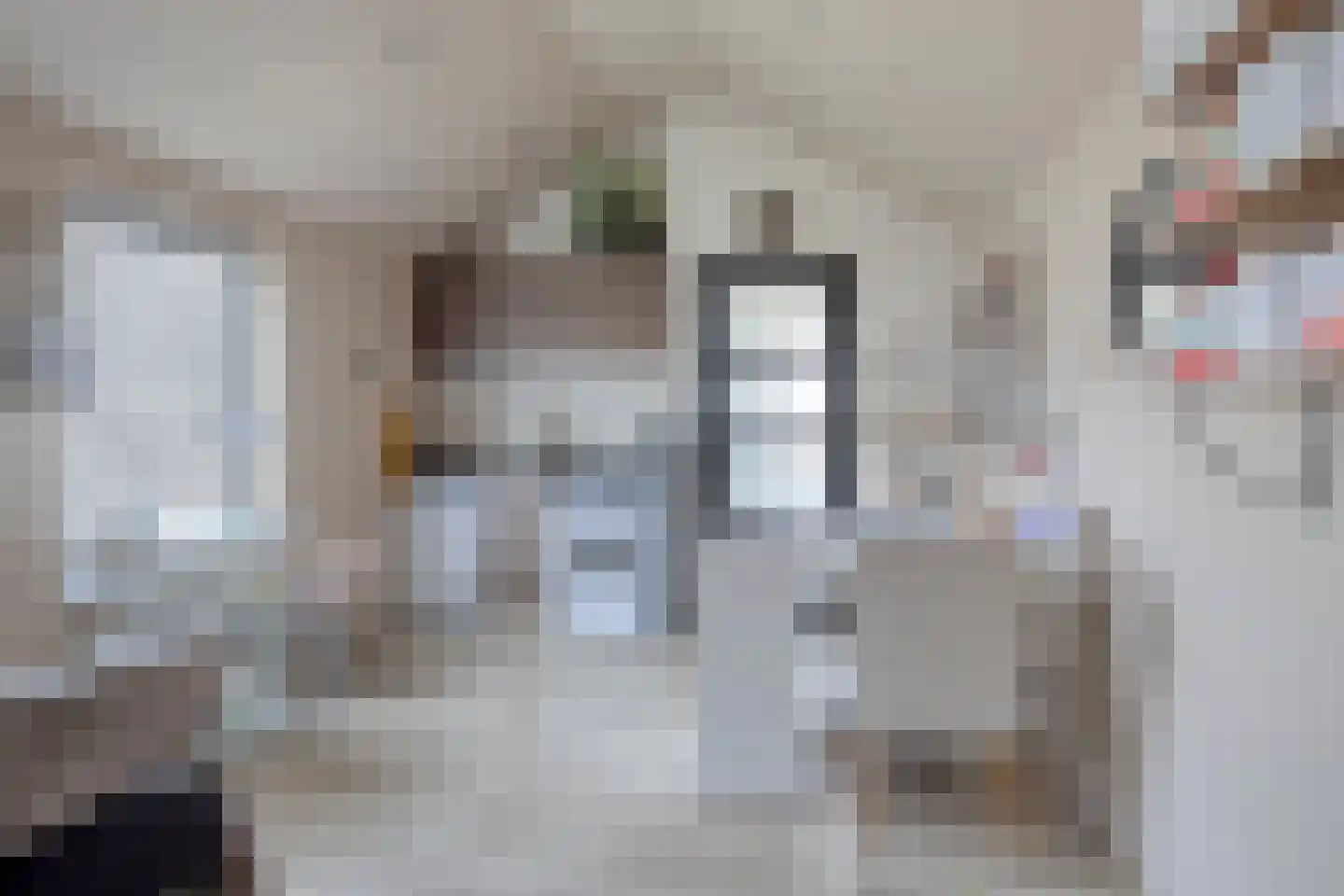 Oude Dijk 15 Zuidlaren thumbnail 59