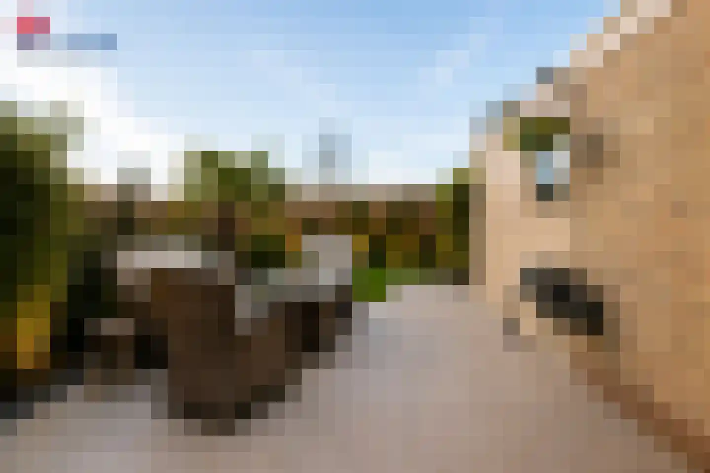 Oude Dijk 15 Zuidlaren thumbnail 6