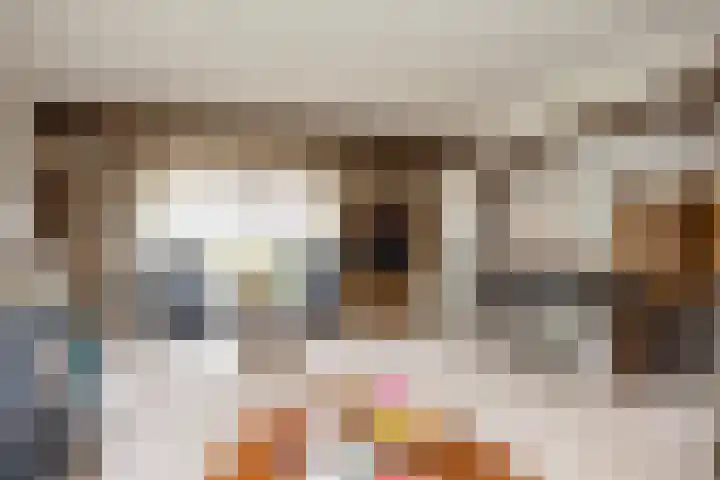 Oude Dijk 2 Denekamp thumbnail 14