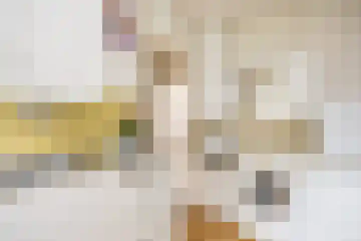 Oude Dijk 2 Denekamp thumbnail 21