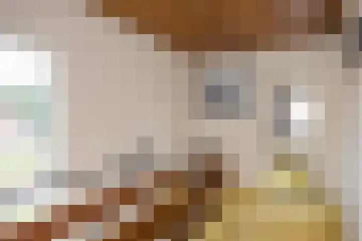 Oude Dijk 2 Denekamp thumbnail 23