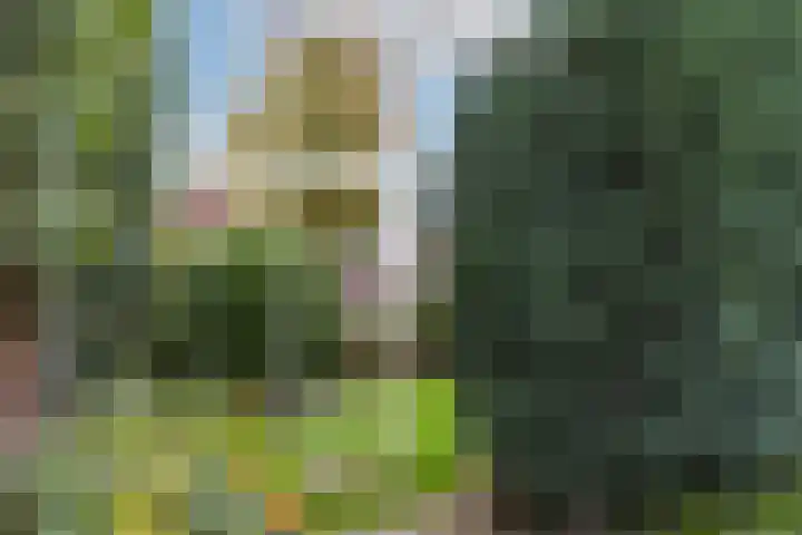 Oude Dijk 2 Denekamp thumbnail 35