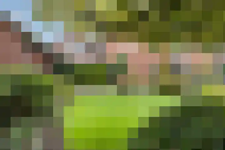 Oude Dijk 2 Denekamp thumbnail 39