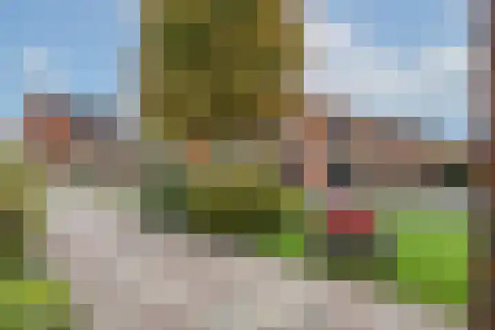 Oude Dijk 2 Denekamp thumbnail 40