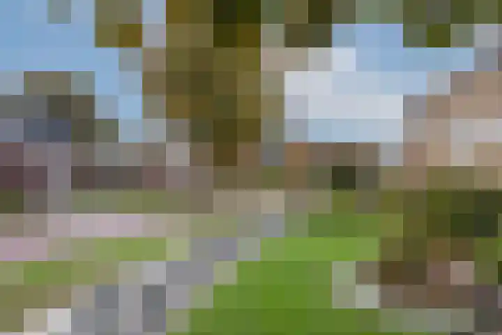 Oude Dijk 2 Denekamp thumbnail 42