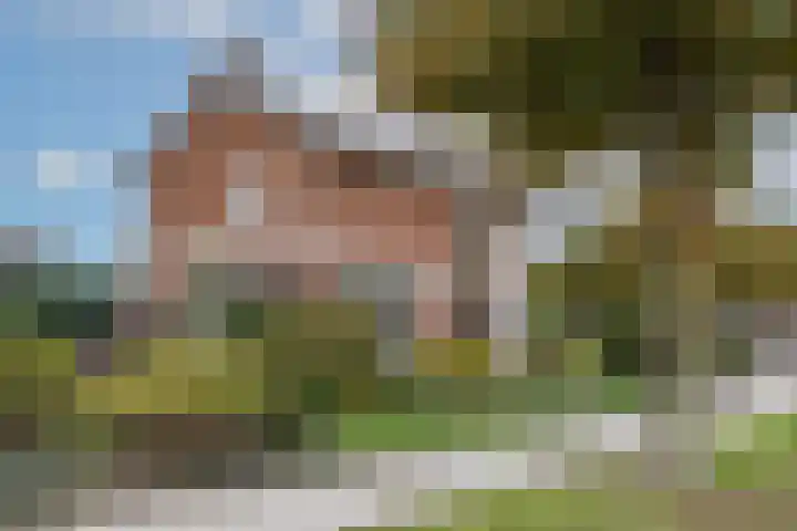 Oude Dijk 2 Denekamp thumbnail 43