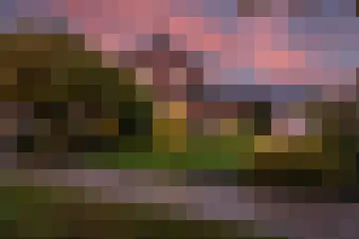 Oude Dijk 2 Denekamp thumbnail 48