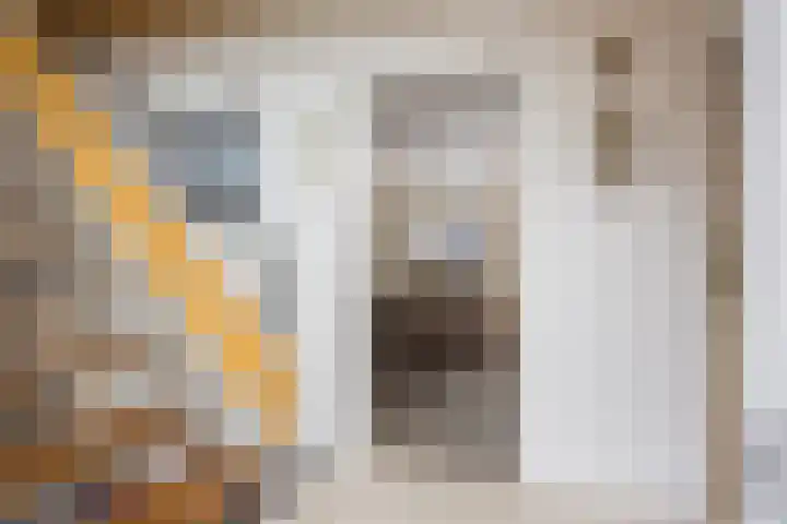 Oude Dijk 2 Denekamp thumbnail 8