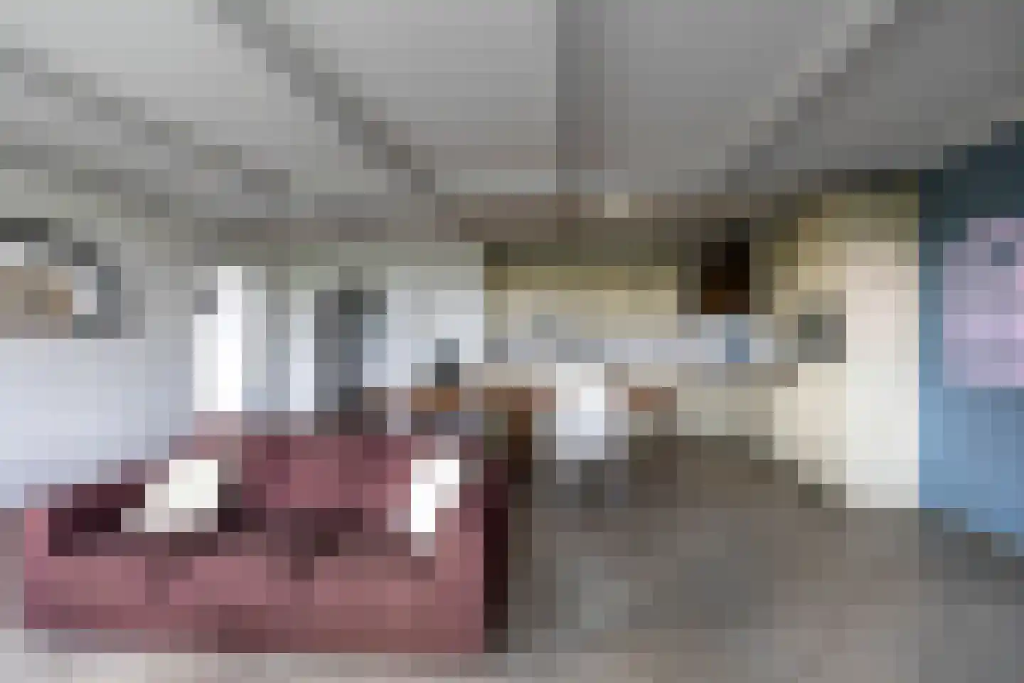 Oude Dijk 21 Bedum thumbnail 12