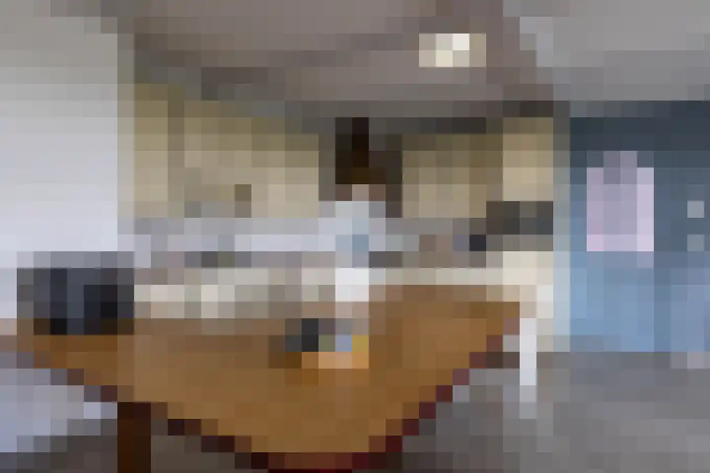 Oude Dijk 21 Bedum thumbnail 14
