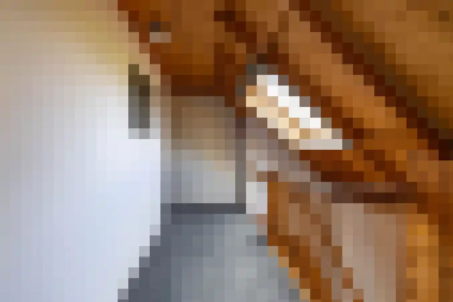 Oude Dijk 21 Bedum thumbnail 19