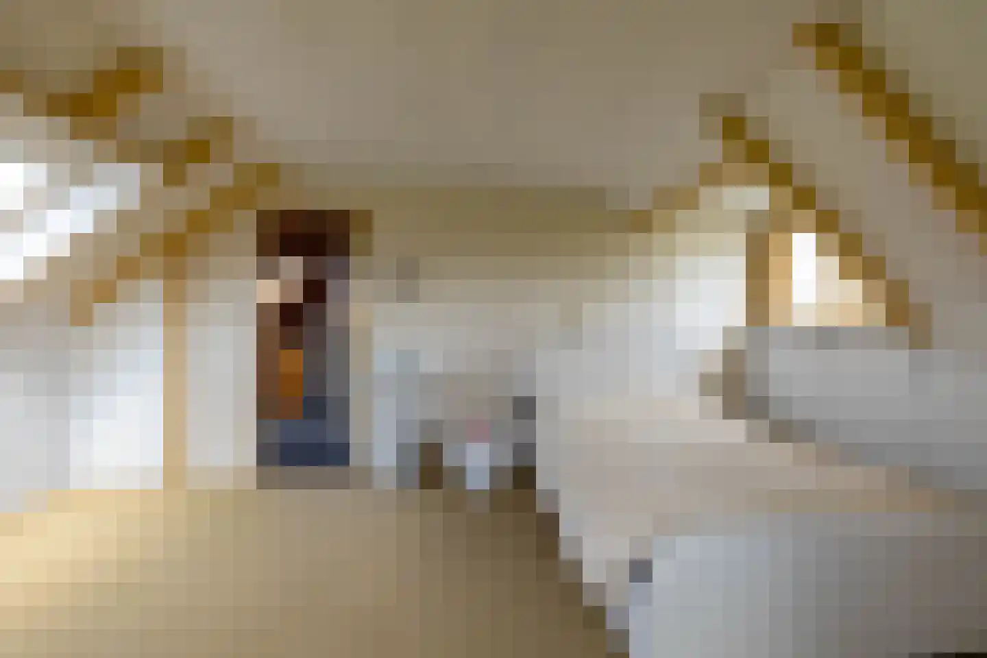 Oude Dijk 21 Bedum thumbnail 21