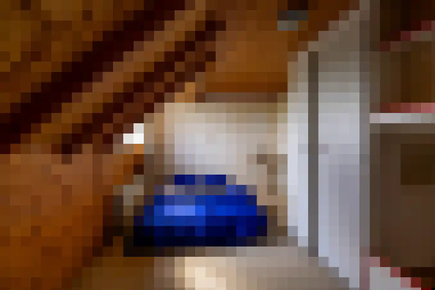 Oude Dijk 21 Bedum thumbnail 24