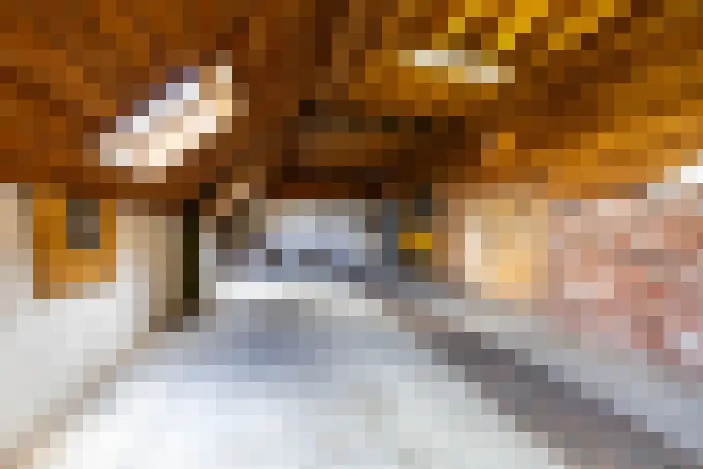 Oude Dijk 21 Bedum thumbnail 37